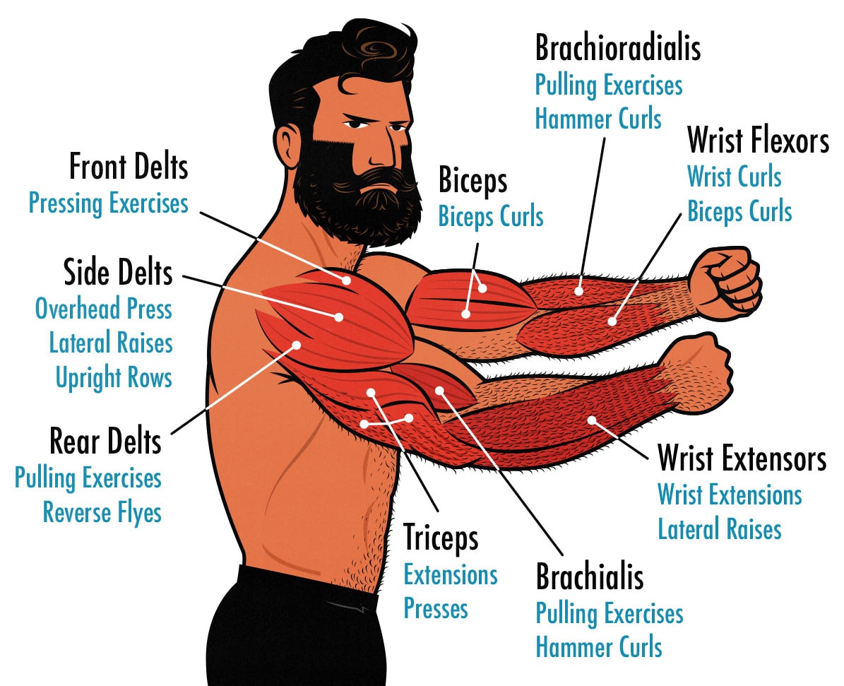 arm workouts​