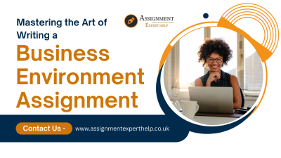 Business Environment assignment help