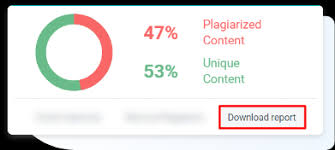 plagiarism checker