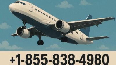 American Airlines Customer Service