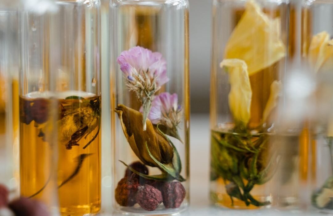 Fragrantica Chypre