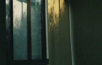 Roller Shades
