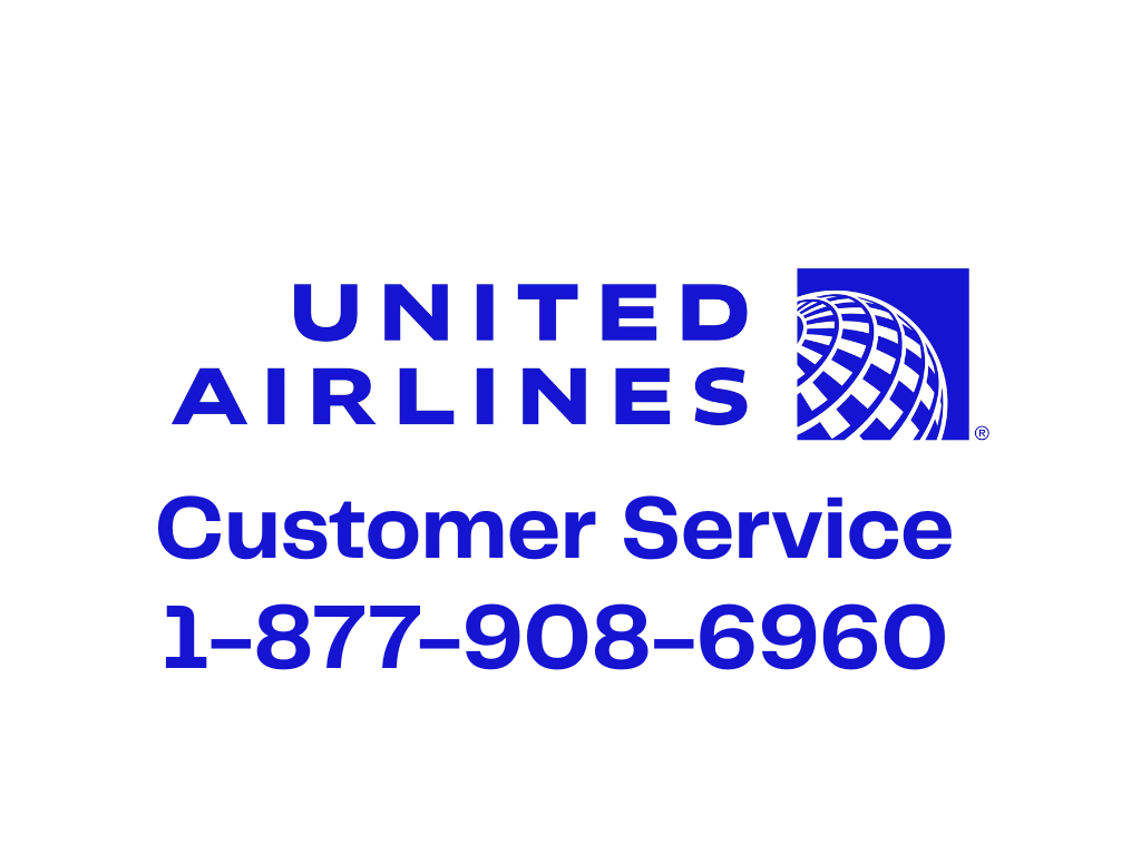 United Airline Customer Service