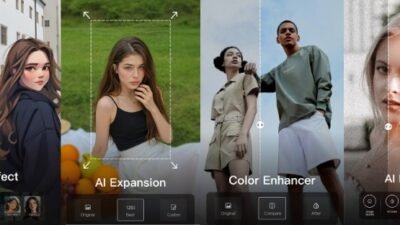 Wink Video Editor