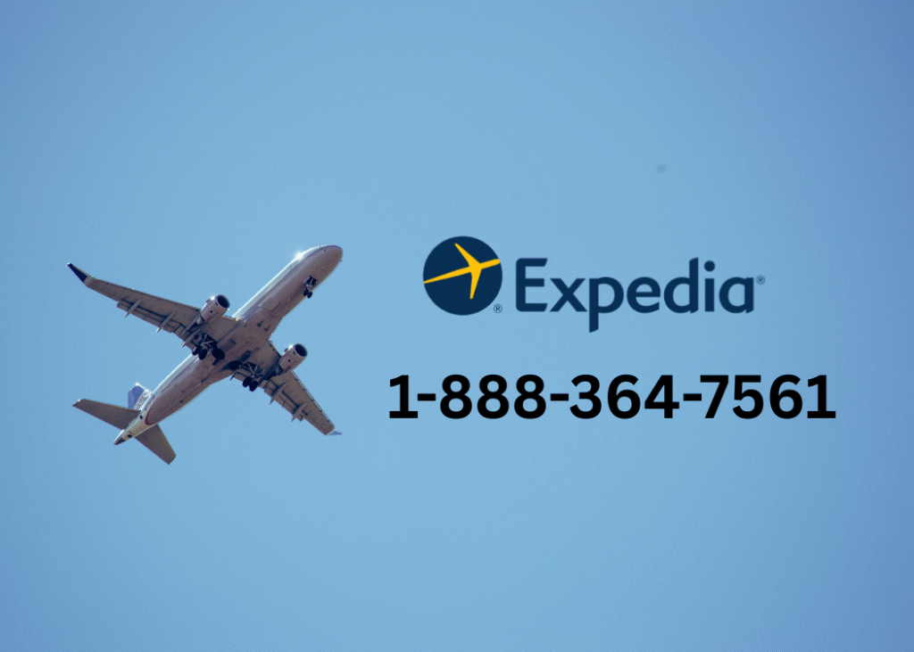 how do i reach a live person at expedia