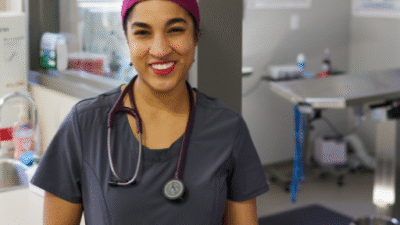 Detroit Veterinarian Jobs
