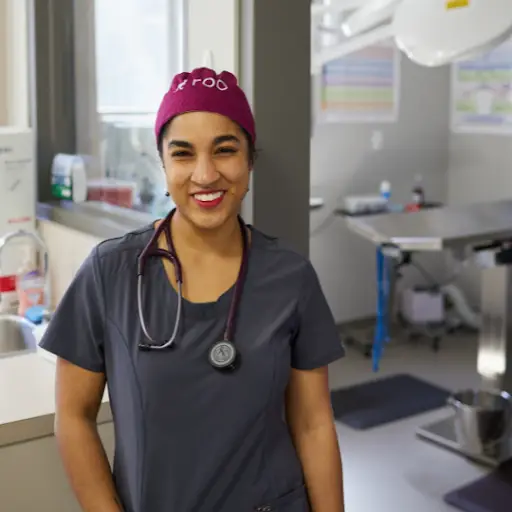 Detroit Veterinarian Jobs