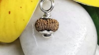 17 mukhi indonesian rudraksha