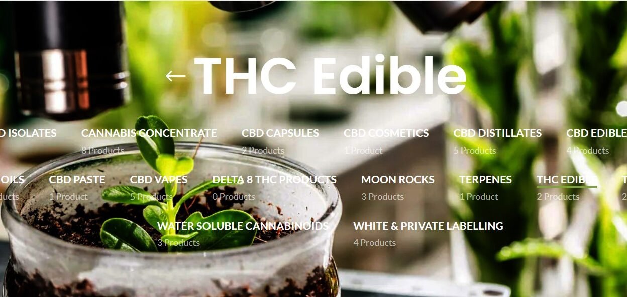 CBD Edibles Wholesale Market in Canada