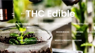 CBD Edibles Wholesale Market in Canada