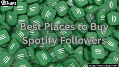 Best Places to Buy Spotify Followers