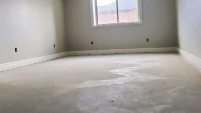 Expert Renovation Painting Services