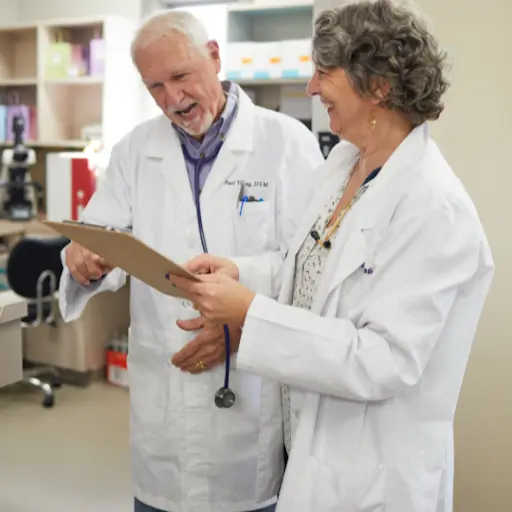 Relief Veterinarian Job