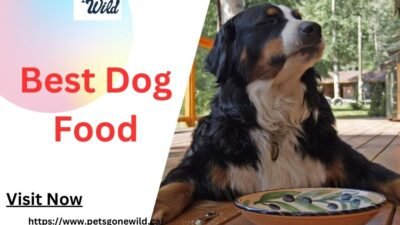 best dog food