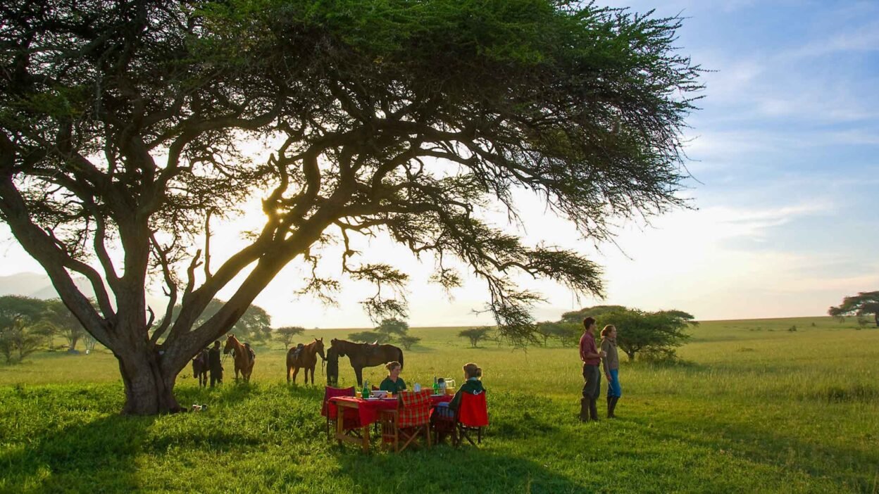 Private Safaris