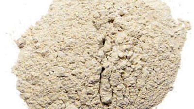 Sodium Bentonite