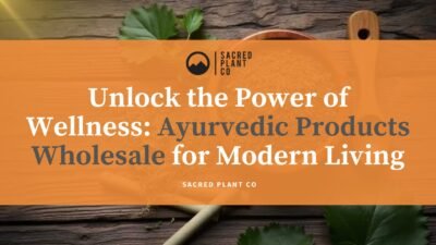 Ayurvedic Products Wholesale for Modern Living