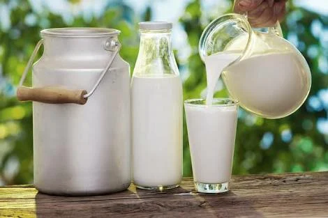 What Are the Benefits of Using a Daily Milk Delivery Service