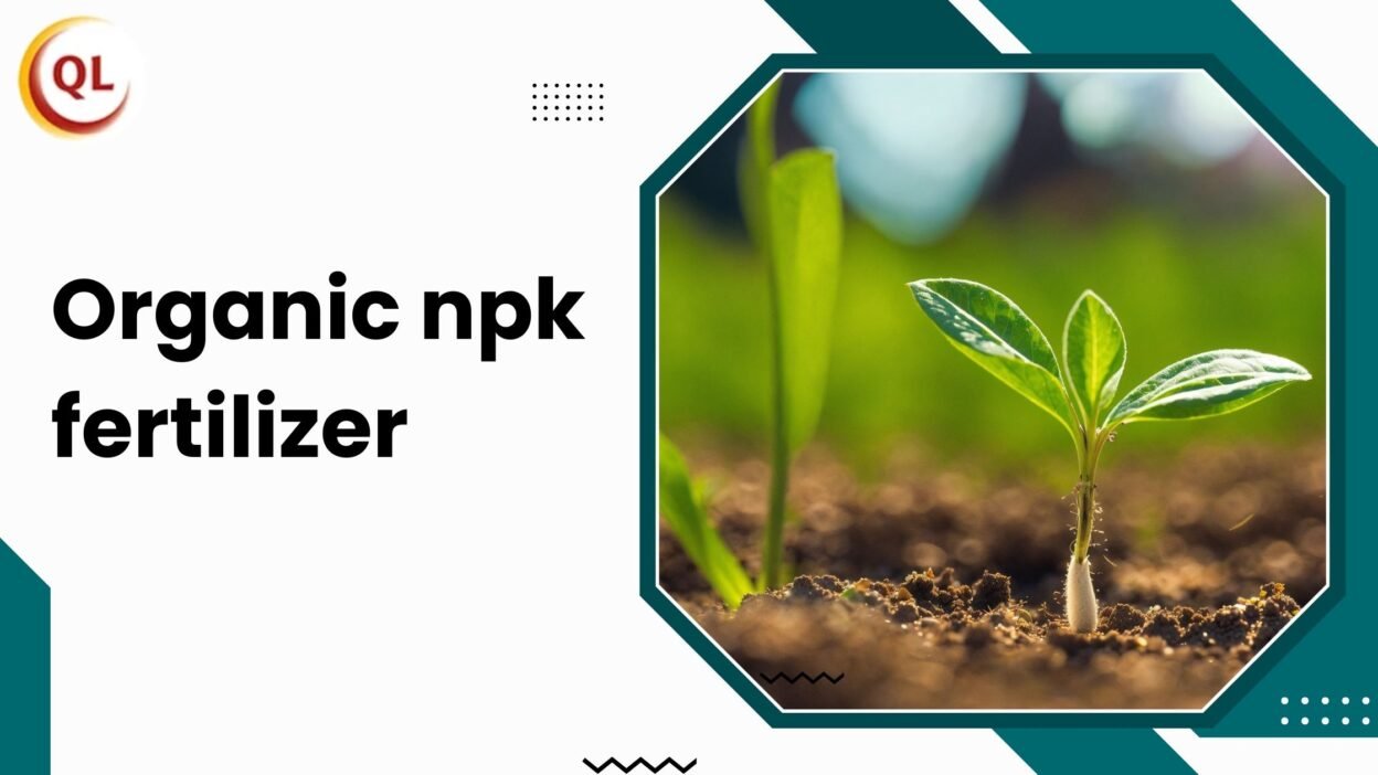 organic npk fertilizer