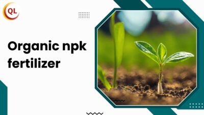 organic npk fertilizer